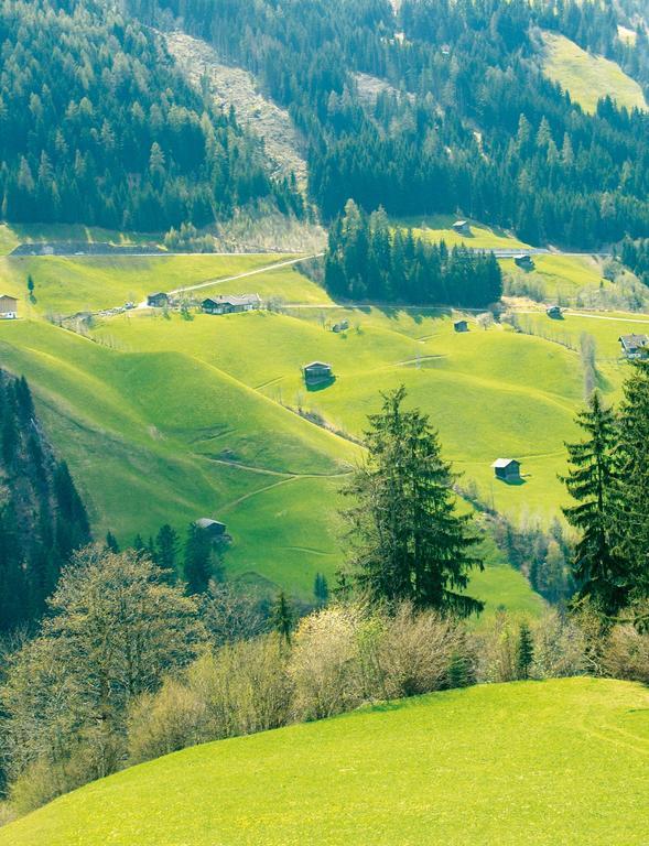 Schoesserhof Villa Zell am Ziller Dış mekan fotoğraf